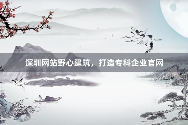 深圳网站野心建筑，打造专科企业官网